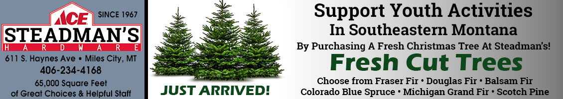 Steadman's Ace Hardware Miles City, Montana